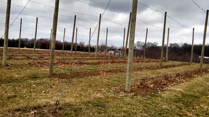 Quality Roofing Picture 2