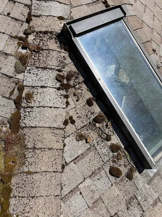 Robinhood Roofing and Restoration LLC Picture 9