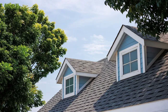 Pro Maxx Roofing Picture 2