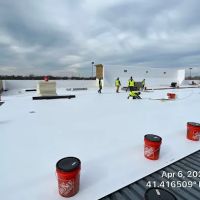 Gold Star Roofing LLC ico