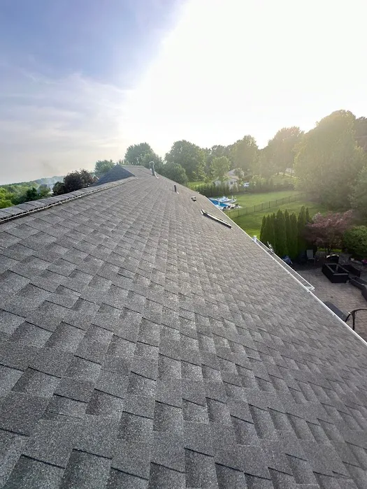 Feazel Roofing Picture 7