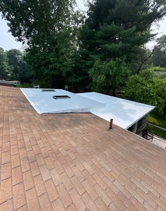 Panda Roof Picture 5