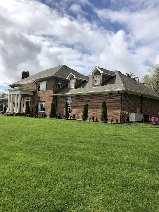 Panda Roof Picture 7