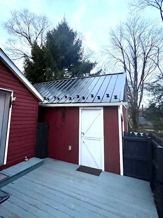 Panda Roof Picture 10