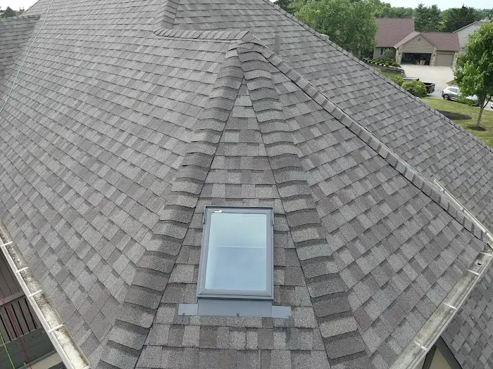 Alien Roofing Picture 3