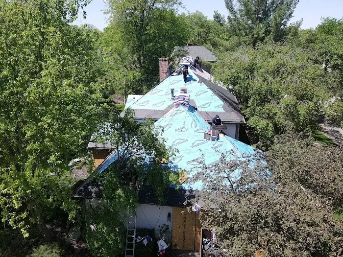 Alien Roofing Picture 6