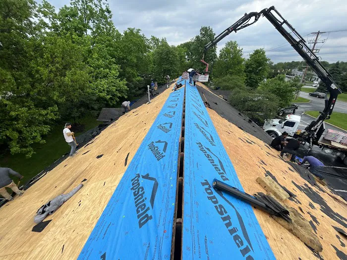 Alien Roofing Picture 8