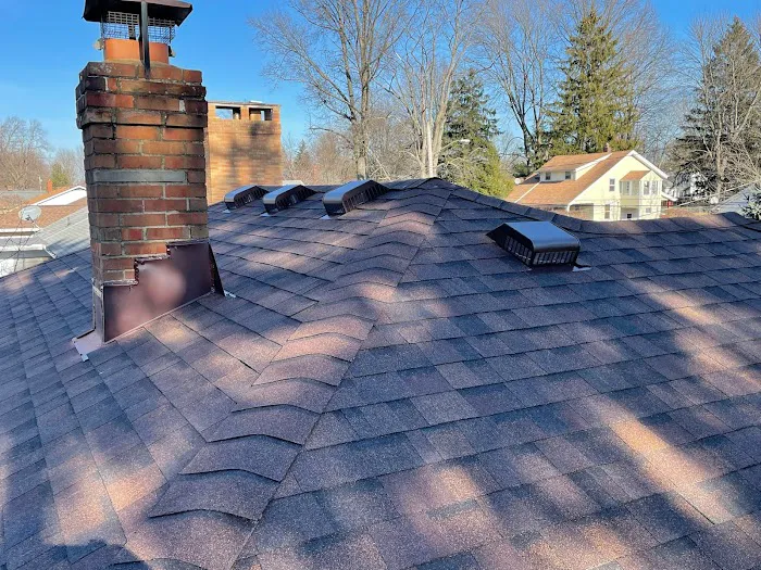 Professional Roofing Service, Inc. Picture 3
