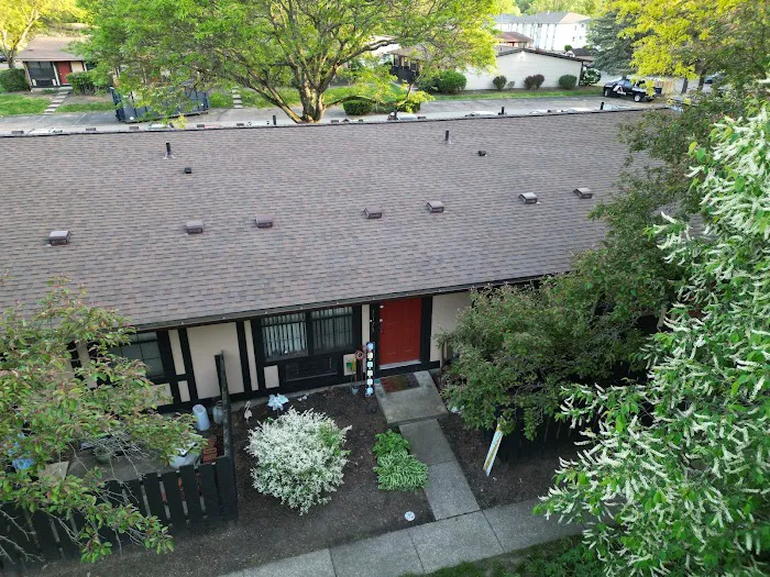 Pring Roofing Picture 7