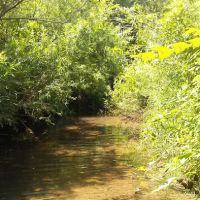 T-N-T Remodeling ico