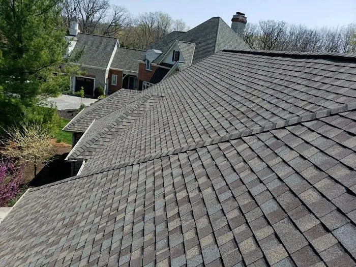 Whitetail Restoration Picture 1