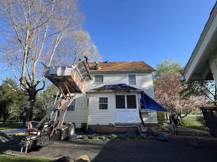 Whitetail Restoration Picture 3