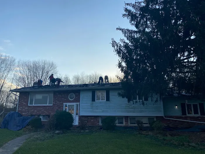 Whitetail Restoration Picture 4