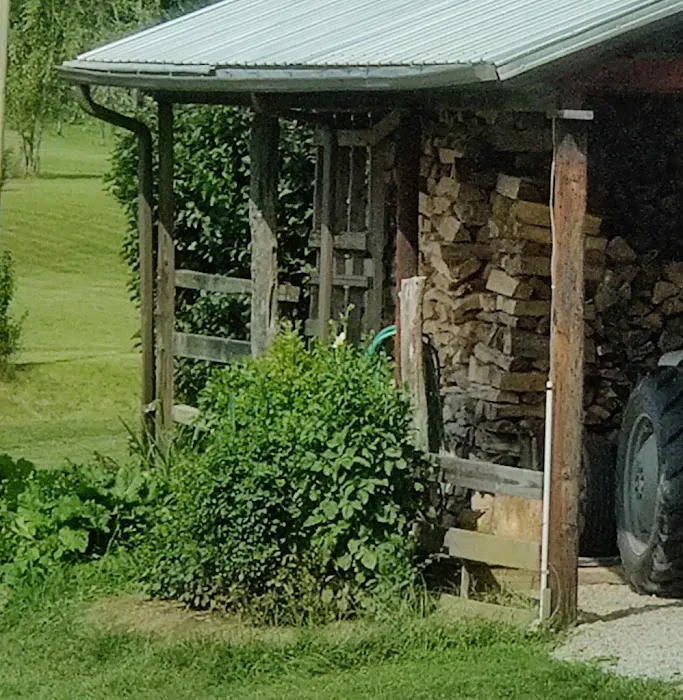 Mickey's Roofing Picture 1