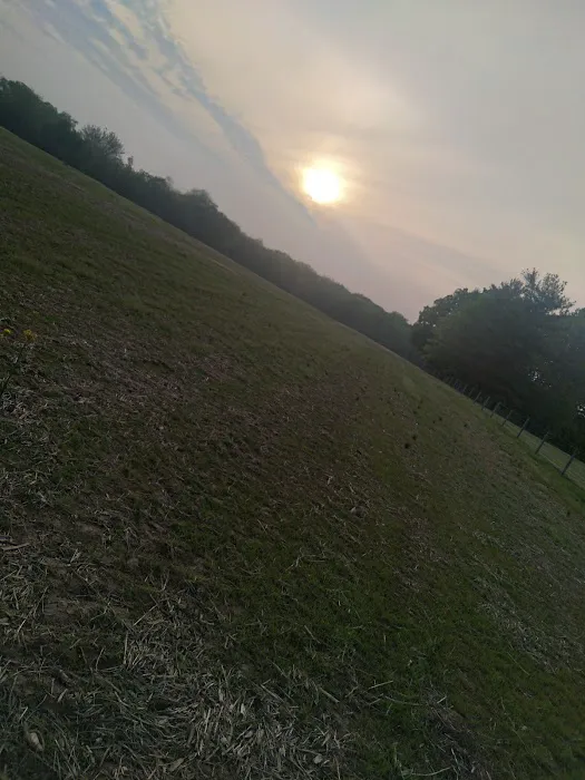 Buck I Roofing & Restoration Picture 10