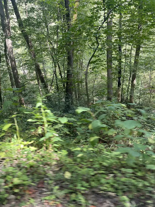 Rodriguez Roofing, Llc Picture 3