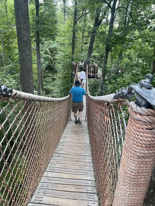 Rodriguez Roofing, Llc Picture 1