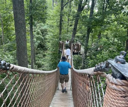 Rodriguez Roofing, Llc