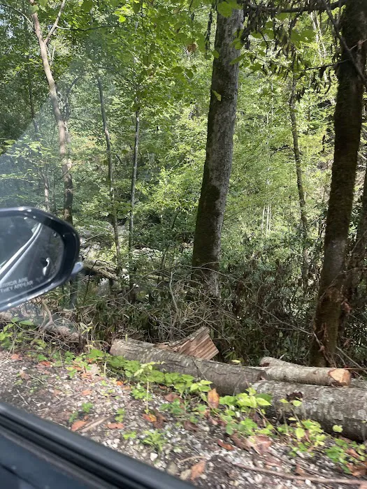 Rodriguez Roofing, Llc Picture 8