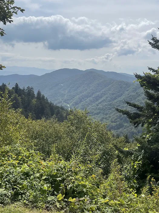 Rodriguez Roofing, Llc Picture 5