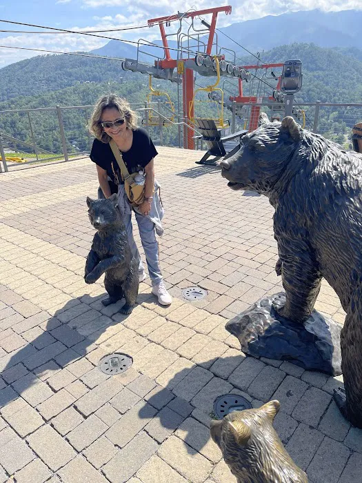 Rodriguez Roofing, Llc Picture 6