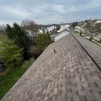 Bristlewood Roofing & Siding ico