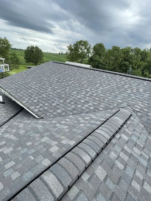 Roofs by Warren Picture 2