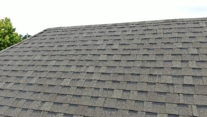 Shelter King Roofing & Exteriors Picture 4