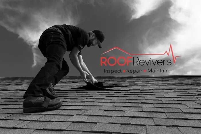 Roof Revivers Picture 3