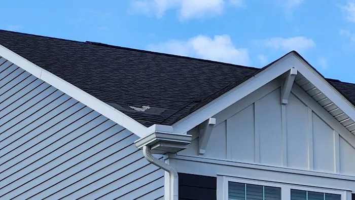 Roof Revivers Picture 5