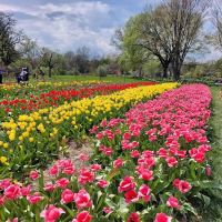 Exquisite Exteriors ico