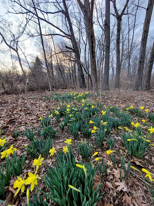 Exquisite Exteriors Picture 6