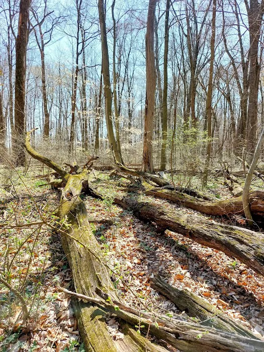 Exquisite Exteriors Picture 4