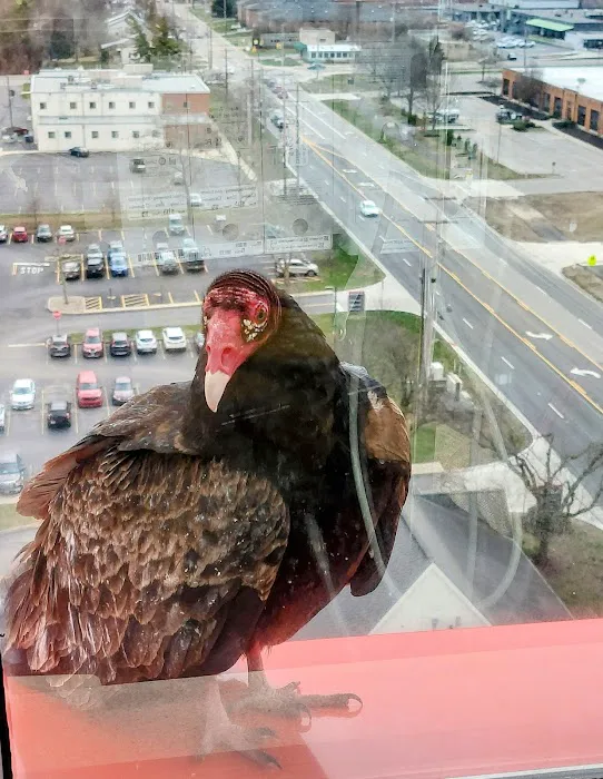 Exquisite Exteriors Picture 10