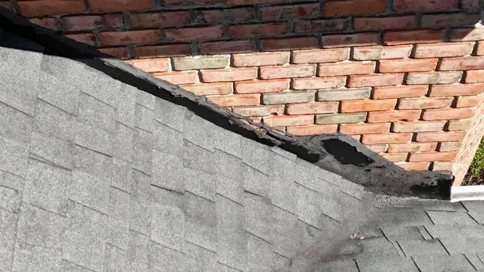 Alien Roofing Picture 3