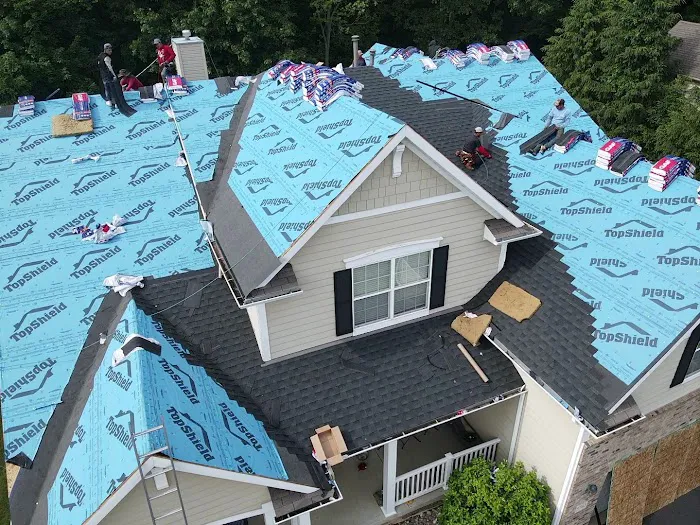 Alien Roofing Picture 4