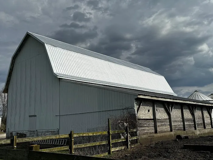 Spartan StormShield Picture 9