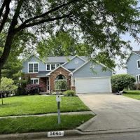 RED HORNET ROOFING ico