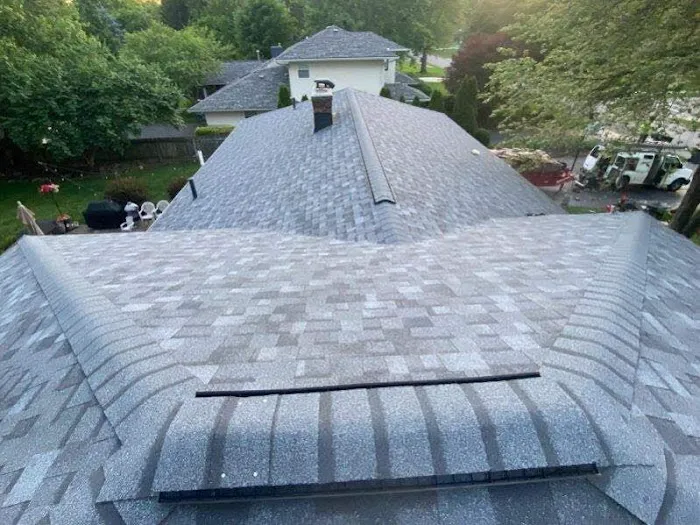 RED HORNET ROOFING Picture 2