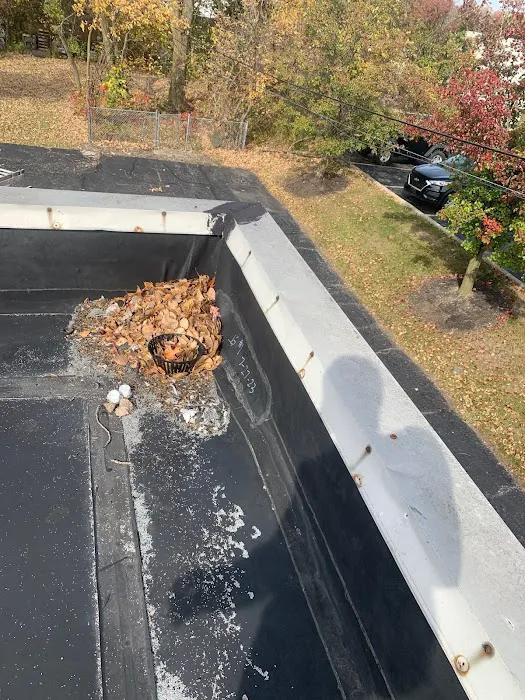 Cleveland Ohio Roofing Picture 9