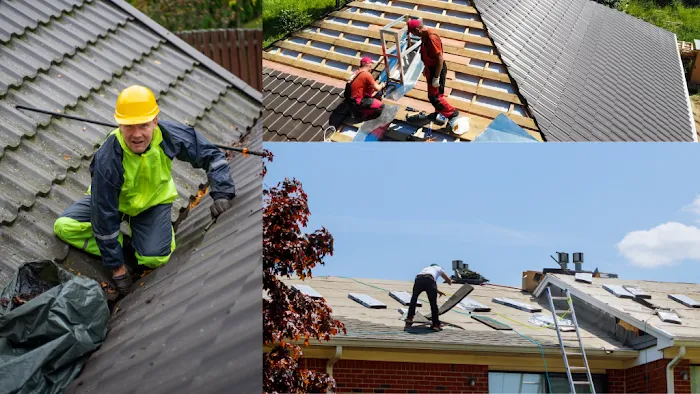 Red Turtle Roofing Picture 1