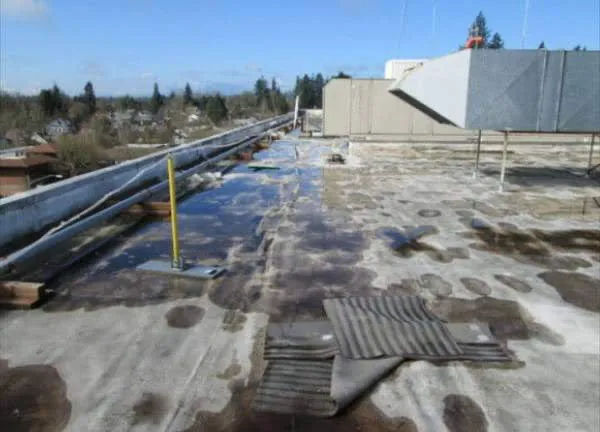 Pro Seal Roofing & Paving Picture 4