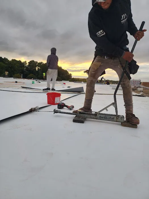 Just Roofing USA Picture 10