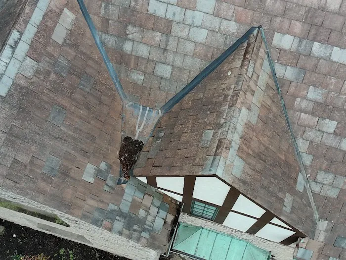 The Roof Champion of Columbus Picture 10