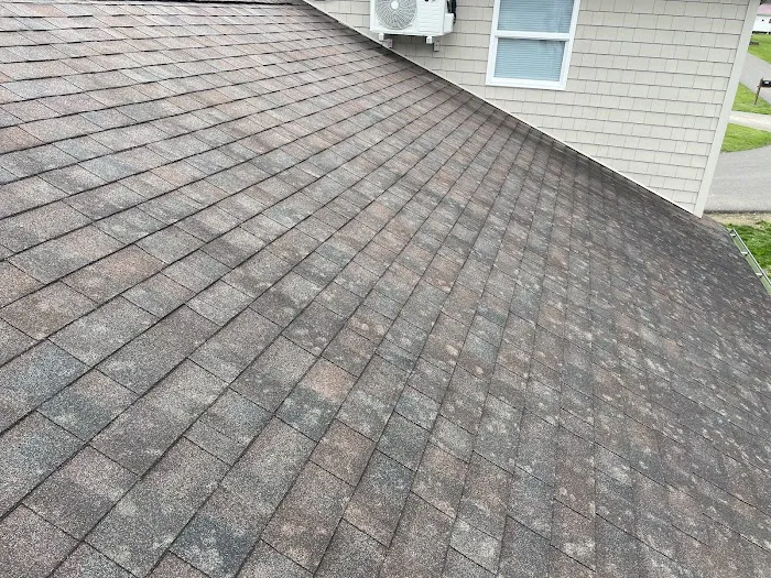 Exotic Renovations Picture 1