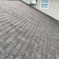 Exotic Renovations ico