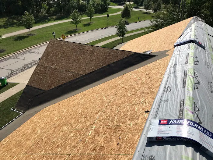 Lion Roofing and Construction Picture 1