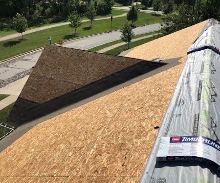 Lion Roofing and Construction