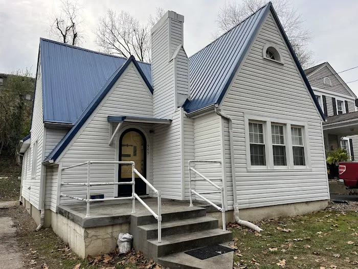 Lion Roofing and Construction Picture 3