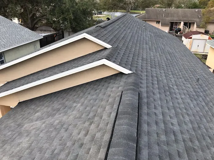 Lion Roofing and Construction Picture 2